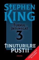 Tinuturile pustii. Seria Turnul Intunecat Vol.3 - Stephen King