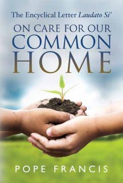 On Care for Our Common Home: The Encyclical Letter Laudato Si&#039;