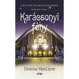 Kar&aacute;csonyi f&eacute;ny - "Mindig van rem&eacute;ny..." - Donna VanLiere