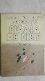 Aurel Gheorghe Ardeleanu - Ploaia de nisip