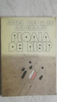 Aurel Gheorghe Ardeleanu - Ploaia de nisip foto