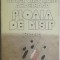 Aurel Gheorghe Ardeleanu - Ploaia de nisip