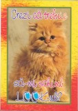 bnk cp Felicitare - Crezi ca trebuie sa imi schimb look-ul ? - pisica