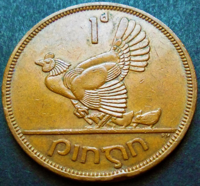 Moneda 1 PENNY / PINGIN - IRLANDA, anul 1968 * cod 2522 foto