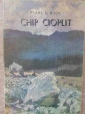 CHIP CIOPLIT-PEARL S. BUCK-133643 foto
