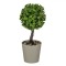Ghiveci Decorativ, Bonsai Artificial, Ceramică, Culoare Taupe, &Icirc;nălțime 18cm