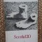 Secolul 20 nr. 6 - 7 / 1983 - Un romantism fără v&icirc;rstă