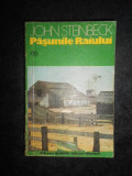 JOHN STEINBECK - PASUNILE RAIULUI