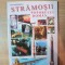 STRAMOSII POPORULUI ROMAN DE VIRGILIU BARSANESCU , BUCURESTI 2013