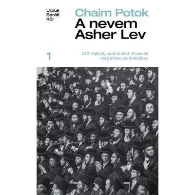 A nevem Asher Lev - Chaim Potok foto