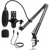 Microfon studio de birou, cu conector USB, Timelesstools