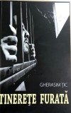 Tinerete furata Gherasim Tic, 2017, Alta editura