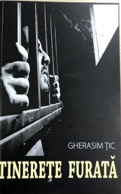 Tinerete furata Gherasim Tic foto