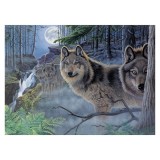 Pictura pe Numere Avansati Luna Mistica, 28.6x39.05cm, Set Complet cu Vopsea, Pensula si Carton Pretiparit Jad