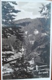 Carte postala, Borsec, vedere generala, 1942