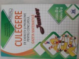 Culegere de exercitii si probleme pt. concursul Gazeta Matematica Junior cls 3-4