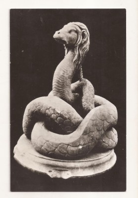 RF33 -Carte Postala- Constanta, Sarpele Glykon, necirculata foto