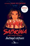Anotimpul vrajitoarei. Seria Sabrina: Intre lumina si intuneric. Vol.1 - Sarah Rees Brennan - Editura Corint