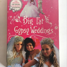DD- Big Fat Gypsy Weddings, The dress, The Drama, The Secrets Unveiled