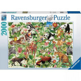 PUZZLE HARTA LUMII, 2000 PIESE, Ravensburger