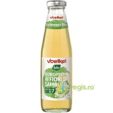 Sirop din Flori de Soc Ecologic/Bio 500ml