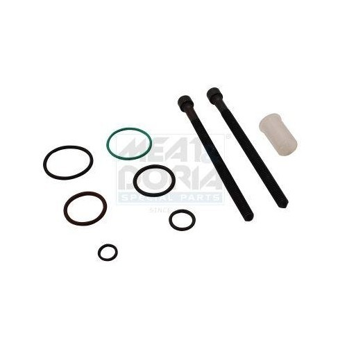 Meat &amp;amp; Doria Set garnituri, pompa injectie