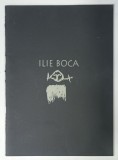 ILIE BOCA, CATALOG DE EXPOZITIE, 2001