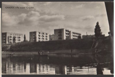 CPIB 22088 - CARTE POSTALA - ORADEA . PE MALUL CRISULUI, RPR, NECIRCULATA foto