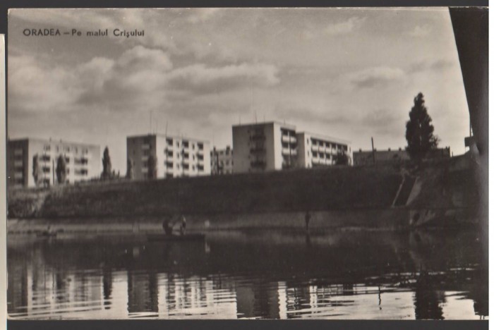 CPIB 22088 - CARTE POSTALA - ORADEA . PE MALUL CRISULUI, RPR, NECIRCULATA