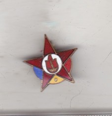 bnk ins Insigna Pionier Steluta - grad 2