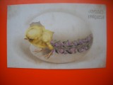HOPCT 8668 FELICITARE PASCALA 1933 BELGIA -FRANCATURA FRUMOASA -EUROPA -CIRCULATA