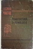 Pomicultura si Pomologie - Fl. Lupescu, I. Militiu (1967), Didactica si Pedagogica, Carte Agronomie, Coperta Cartonata