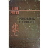 POMICULTURA SI POMOLOGIE-FL. LUPESCU, I. MILITIU-250914