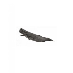 Balena Casalot - Collecta