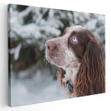 Tablou caine Cocker Spaniel Tablou canvas pe panza CU RAMA 20x30 cm
