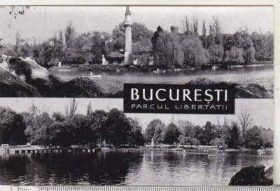 bnk cp Bucuresti - Parcul Libertatii - necirculata foto