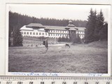 Bnk foto Cabana Staba din Vale - 1965, Alb-Negru, Romania de la 1950, Cladiri