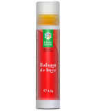 Balsam de Buze cu Catina 4.5gr Santo Raphael