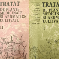 EMIL PAUN - TRATAT DE PLANTE MEDICINALE SI AROMATICE CULTIVATE