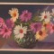 CPIB 20807 FELICITARE - FLORI IN VAZA, GERMANIA, NECIRCULATA, EAS