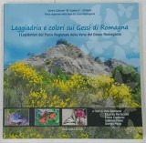LEGGIADRIA E COLORI SUI GESSI DI ROMAGNA di ILVIO BENDAZZI , 2018 * TEXT IN LIMBA ITALIANA