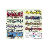 Kaufman Field Guide to Birds of North America