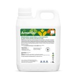 AMARILLO, Biostimulator nemicrobian pentru culturile de porumb și sorg, 5L
