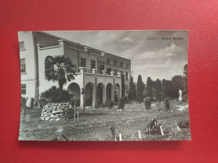 CARTE POSTALA - RPR - CLUJ - MUZEUL BOTANIC