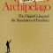 Google Archipelago: The Digital Gulag and the Simulation of Freedom