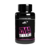 ZMA TRIBULUS 60CPS, pro nutrition