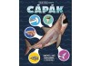 Capak - 3D Modell, - Editura Kreativ