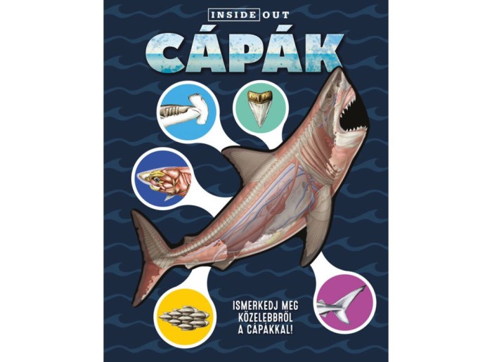 Capak - 3D Modell, - Editura Kreativ