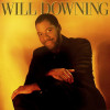 VINIL Will Downing ‎– Will Downing VG+, Pop