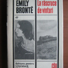 Emily Bronte - La rascruce de vanturi